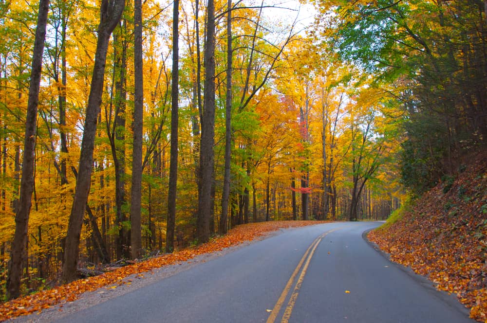 4 Smoky Mountain Scenic Drives You Must Experience in the Fall